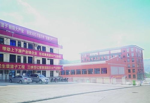 三峡国际农产品集散基地 商贸区 年底投入运营 丰富渝东北片区 菜篮子